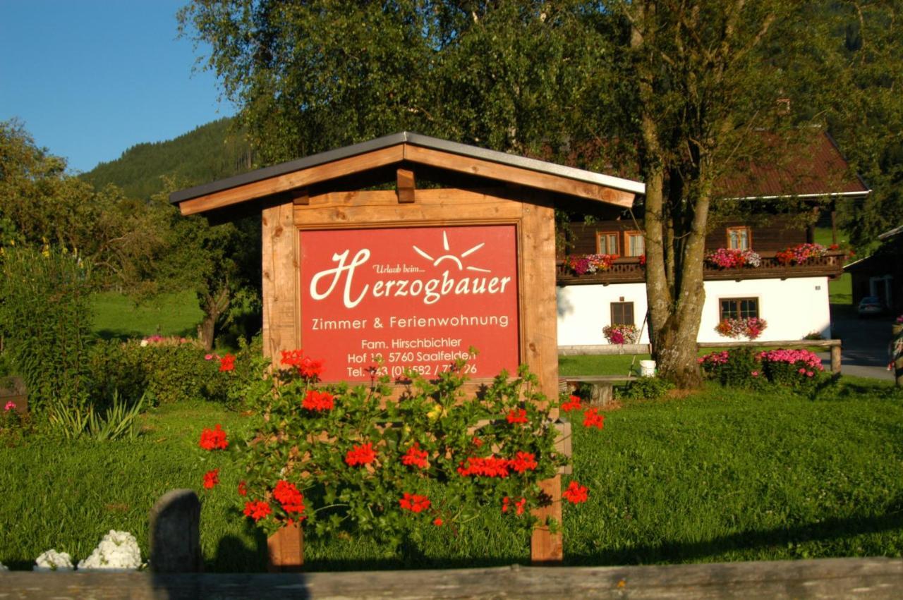 Herzogbauer